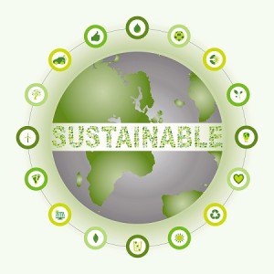 Sustainability-Importance-300x300.jpg